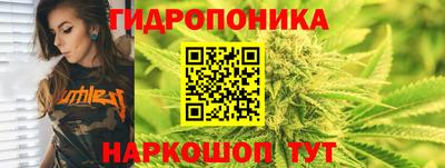 гашик Старая Купавна
