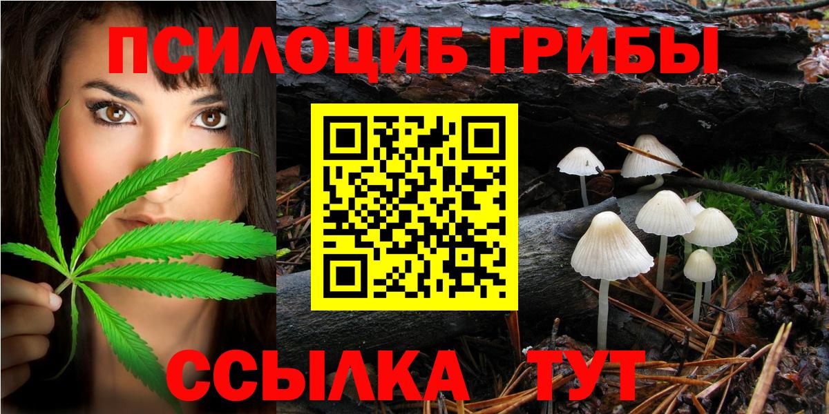 Кандалакша  Галлюциногенные грибы Magic Shrooms  Псилоцибиновые грибы Psilocybe  Вход с VPN 
