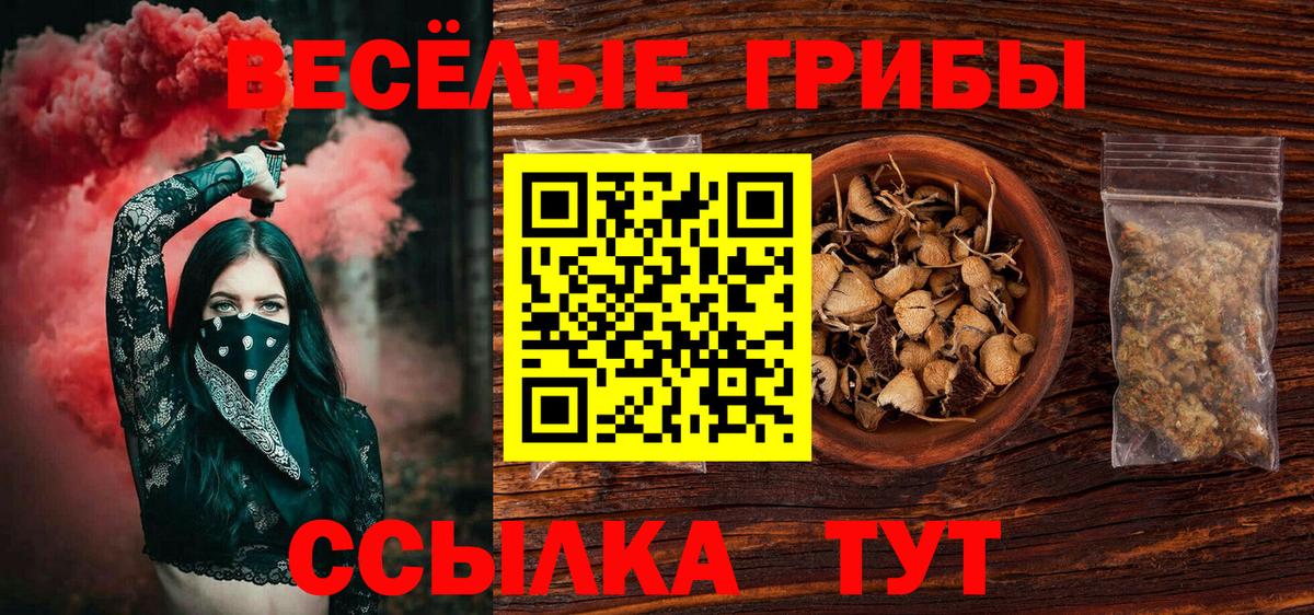Псилоцибиновые грибы MAGIC MUSHROOMS Кандалакша